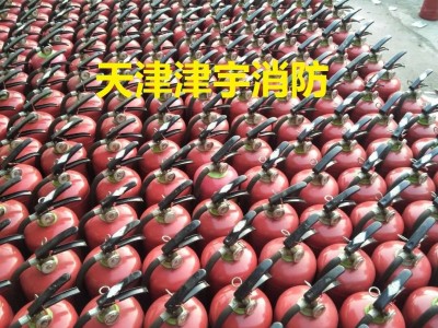 天津灭火器维修 消防器材维修 灭火器年检 免费上门取送图2