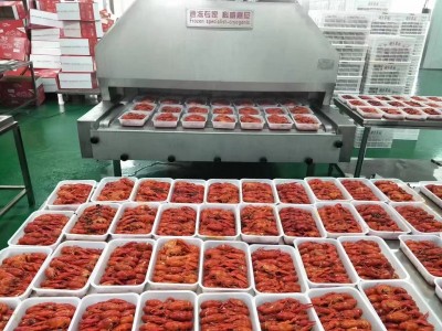 隧道式超低温液氮速冻机  海鲜水产食品速冻保鲜隧道式流水线图2