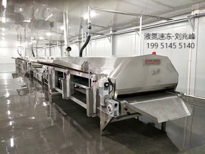 小龙虾速冻保鲜隧道式液氮速冻机 科威嘉尼液氮速冻设备图2