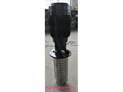 供应张家港恩达泵业的机床冲屑泵QLY8-8X3-601图2