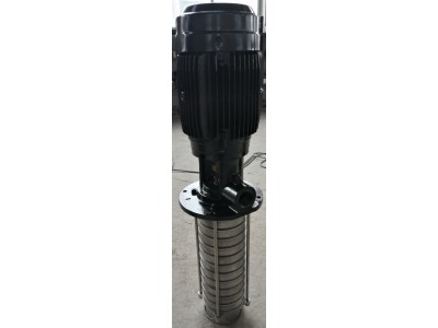 供应张家港恩达泵业的机床冲屑泵QLY8-8X3-601图3