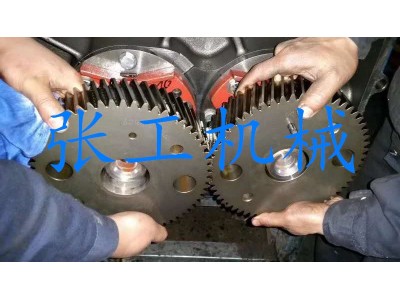 德国艾珍AERZEN罗茨风机维修图2