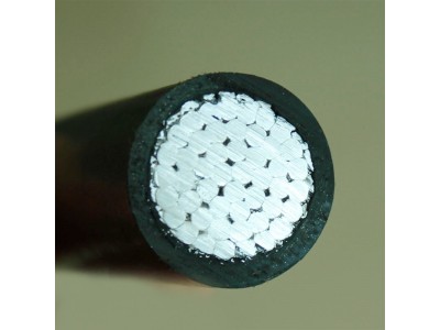 JKLYJ-10KV-240/30 架空绝缘线 国标图2