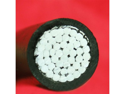 JKLYJ-10KV-240/30 架空绝缘线 国标图3