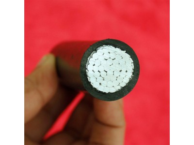 JKLYJ-10KV-240/30 架空绝缘线 国标图4