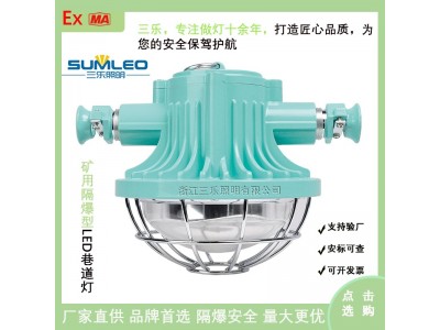 矿用隔爆型LED巷道灯DGS36/127L扇形图1