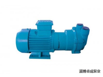 2BEA系列水环真空泵及真空应用成套设备图4