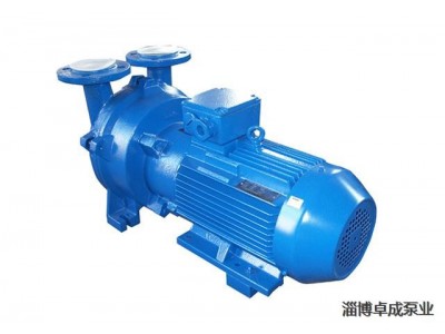 2BEA系列水环真空泵及真空应用成套设备图5
