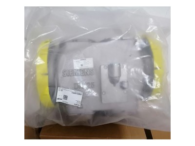 德国燃气电磁阀VGD40.125图4