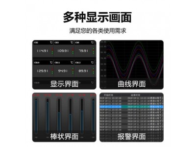 【拓普瑞】TP1000 无纸记录仪彩色无纸记录仪多功能记录仪图4