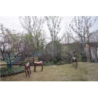 济南庭院内景 不锈钢彩色荷叶雕塑 仿秋荷植物雕塑定制