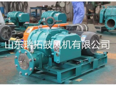 RTSR三叶系列罗茨风机图2