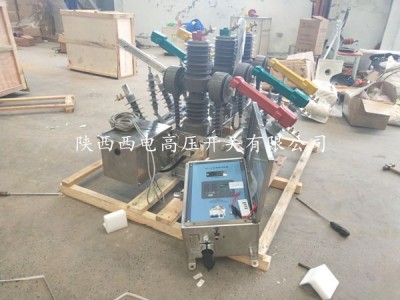 10kv高压双电源切换开关HZW32-12图2