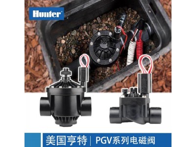 美国亨特PGV151，PGV201电磁阀图1