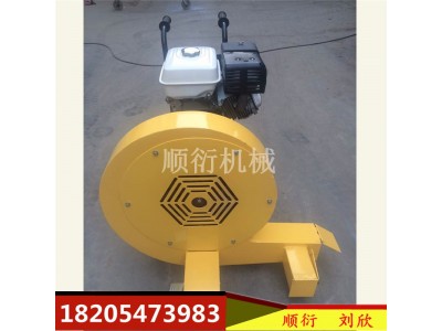 HQ-400路面吹风机 手推式马路吹干机图1