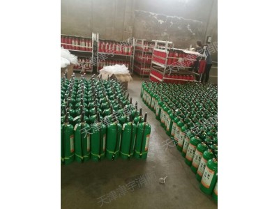 天津灭火器年检 灭火器换药 消防器材年检 销售 量大从优图2