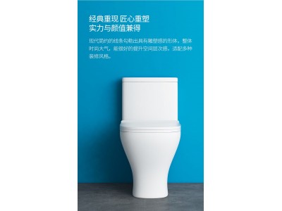 爱尚卫浴普通坐便器AS-W6021图2