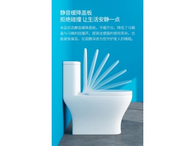 爱尚卫浴普通坐便器AS-W6021图3