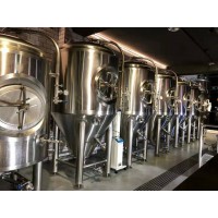 2吨精酿啤酒设备生产厂家 酿啤酒的设备 啤酒设备厂家