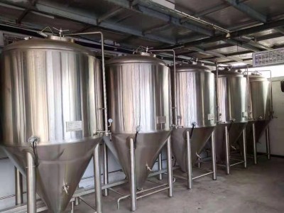 2吨精酿啤酒设备生产厂家 酿啤酒的设备 啤酒设备厂家图4