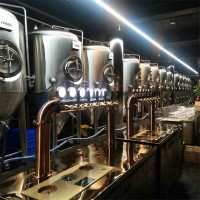 1吨精酿啤酒设备发酵罐 酿啤酒的设备有哪些生产啤酒设备得厂家