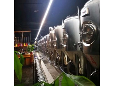 1吨精酿啤酒设备发酵罐 酿啤酒的设备有哪些生产啤酒设备得厂家图2