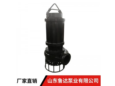 供应水陆两用潜水捞砂泵，耐磨挖砂泵，高效吸沙泵图3