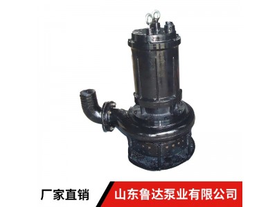 供应水陆两用潜水捞砂泵，耐磨挖砂泵，高效吸沙泵图2