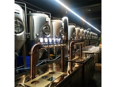 小型精酿啤酒设备生产厂家 1000升啤酒设备 酿啤酒的机器图3