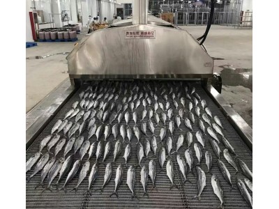 液氮速冻机果蔬速冻海鲜水产速冻肉制品速冻图4