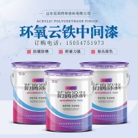 厚浆型环氧云铁中间漆   搭配环氧富锌底漆的中间漆