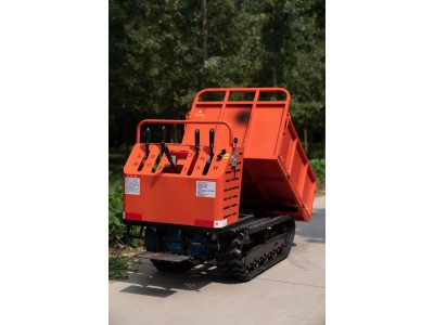 履带运输车 履带式自卸运输车 升降履带搬运车图2