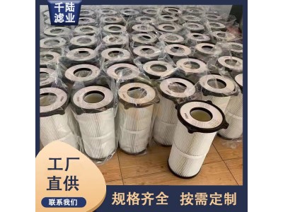 替代生产NederMan尼德曼防静电覆膜滤筒 千陆除尘滤芯图3