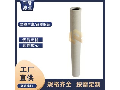 厂家销售 油田天然气过滤器滤芯 石油设备燃气滤芯图2