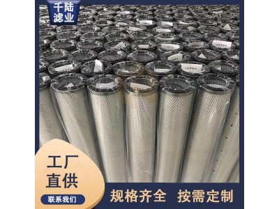 替代生产JPMG2510-10AB-DM 燃气过滤器滤芯图2